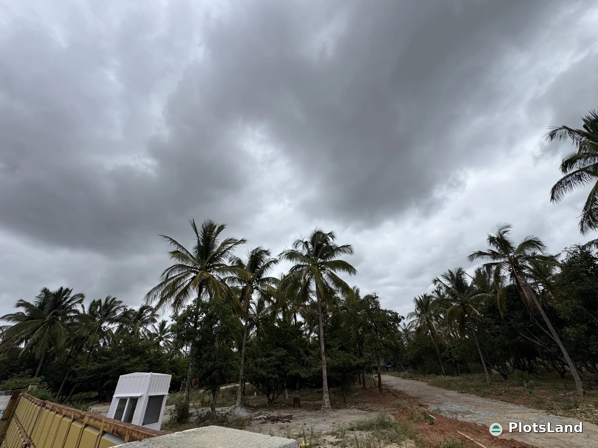     Buy a CoCo Farm Plot – Grow Wealth Naturally.