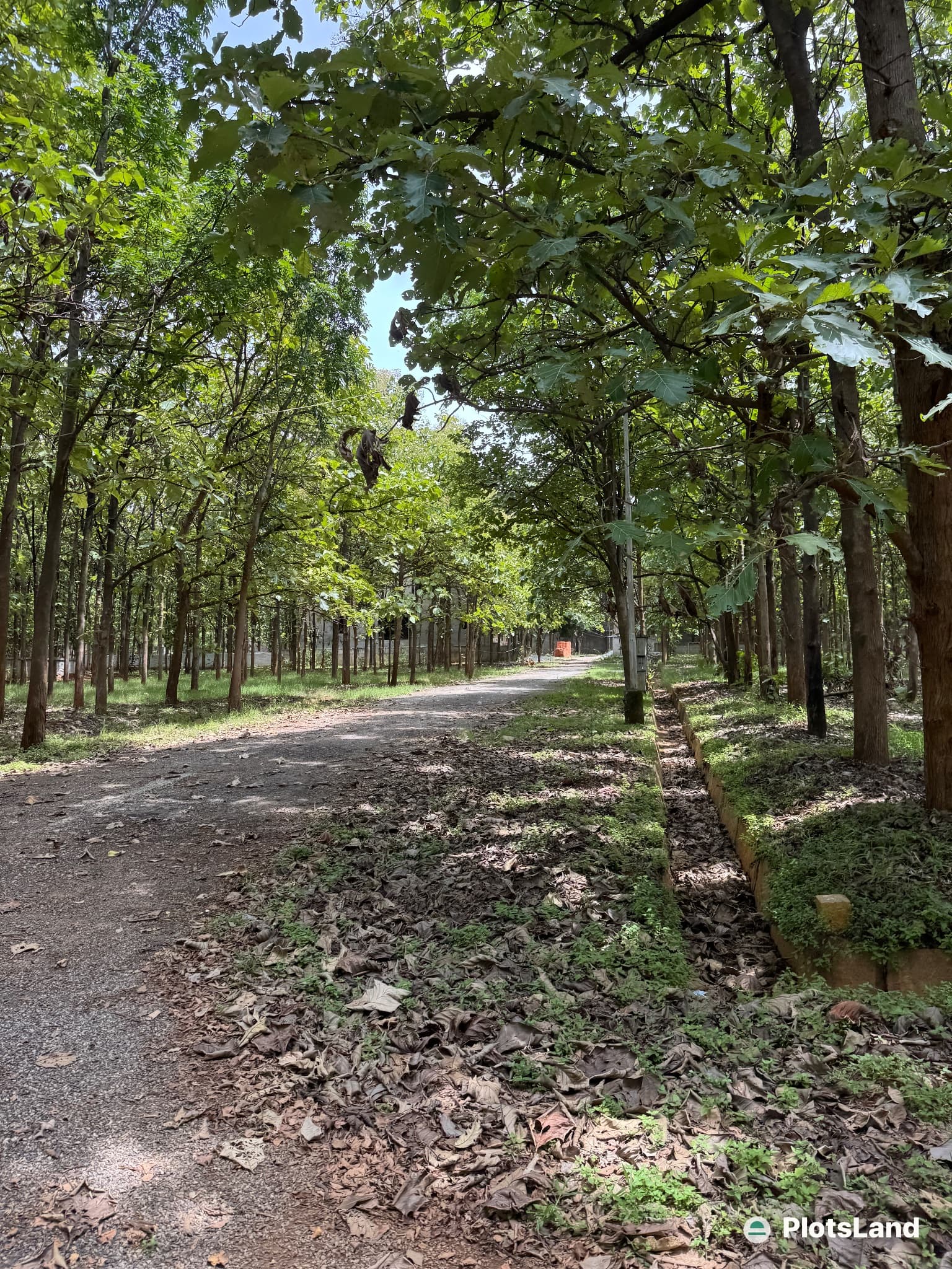 🌿 Where Nature Meets Your Dream Address! On Airport Rd — photo 3