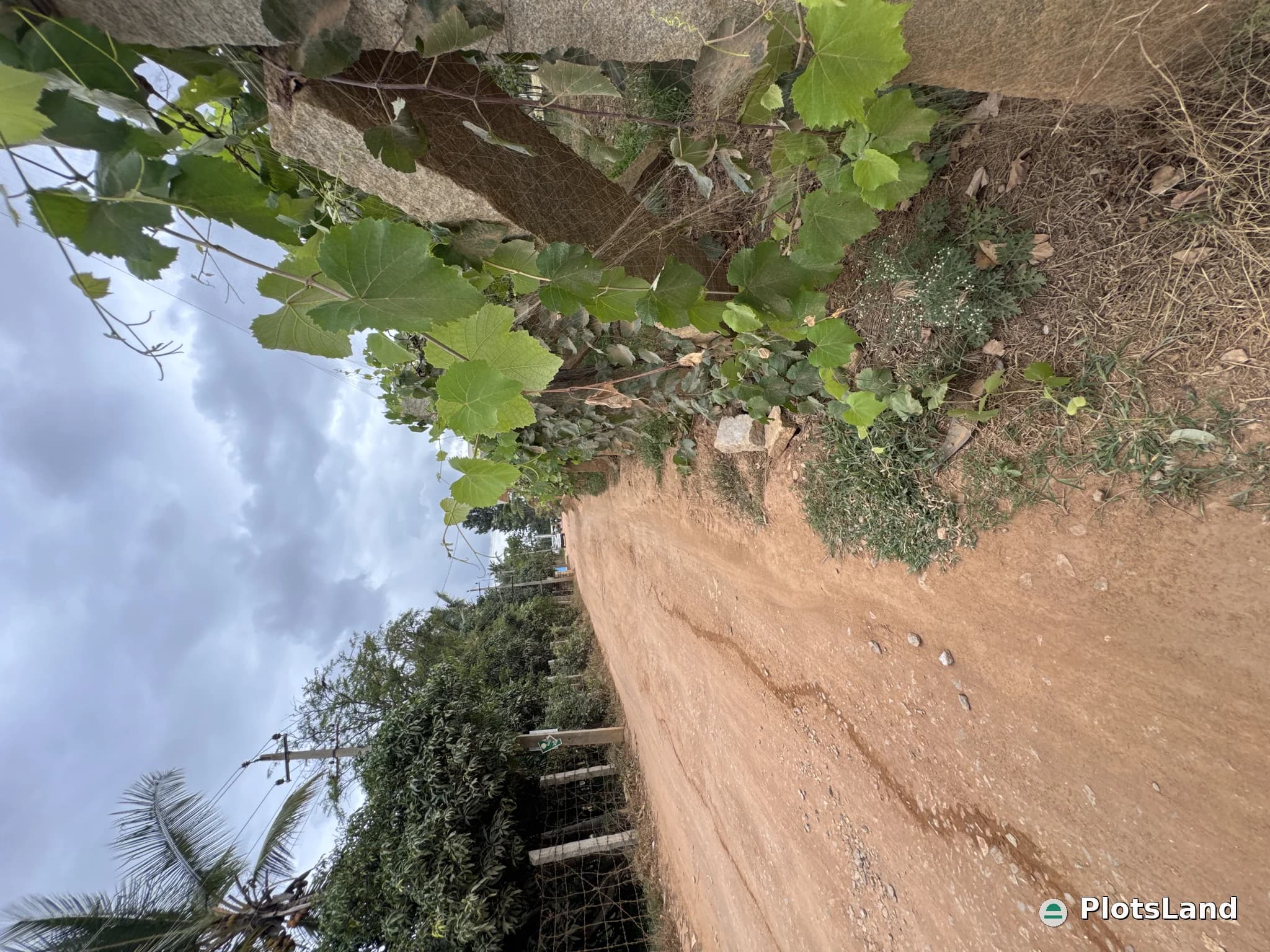     Partner. Develop. Prosper. – This Property is Open for Joint Development. — photo 2