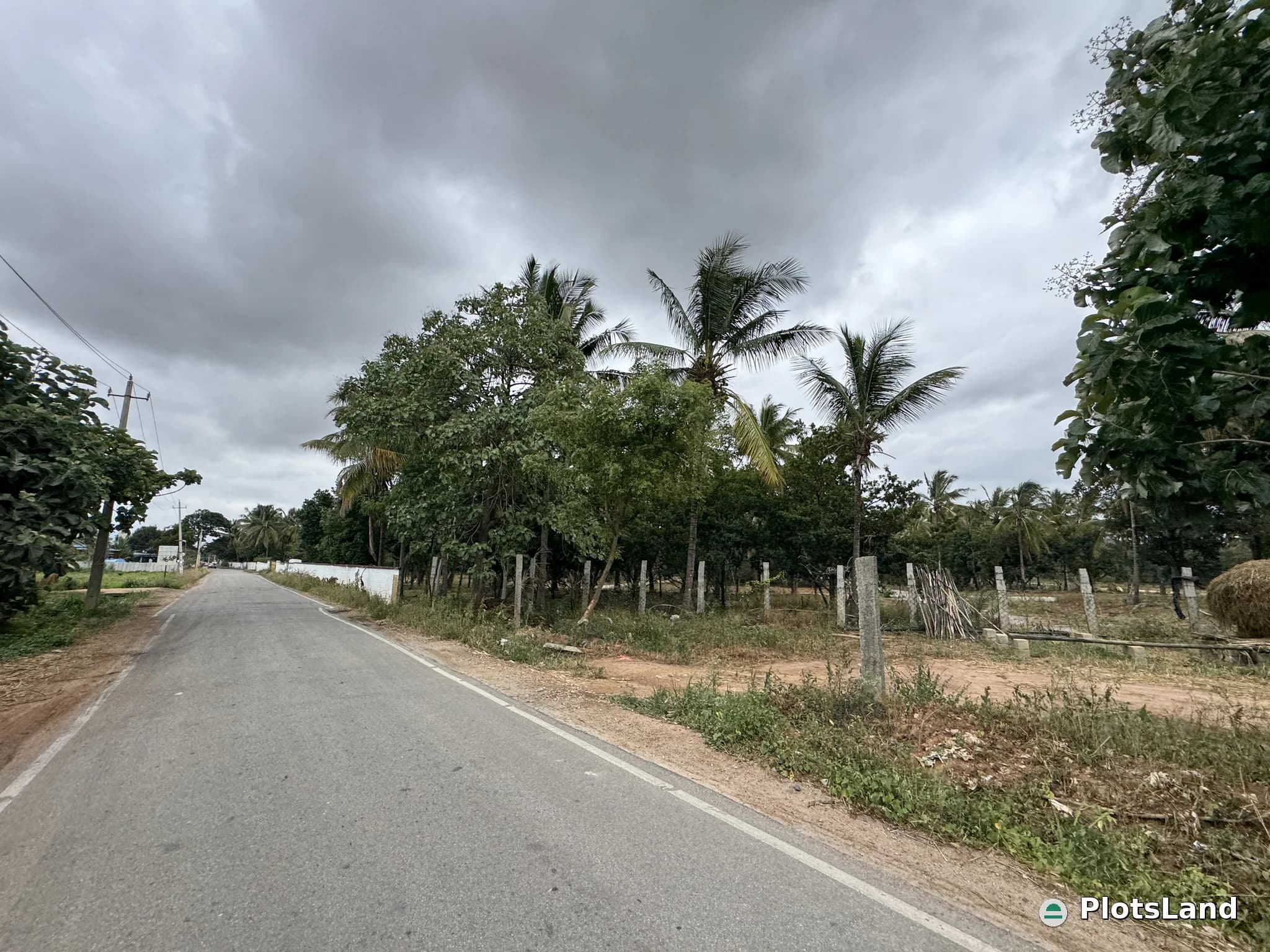     Buy a CoCo Farm Plot – Grow Wealth Naturally. — photo 5