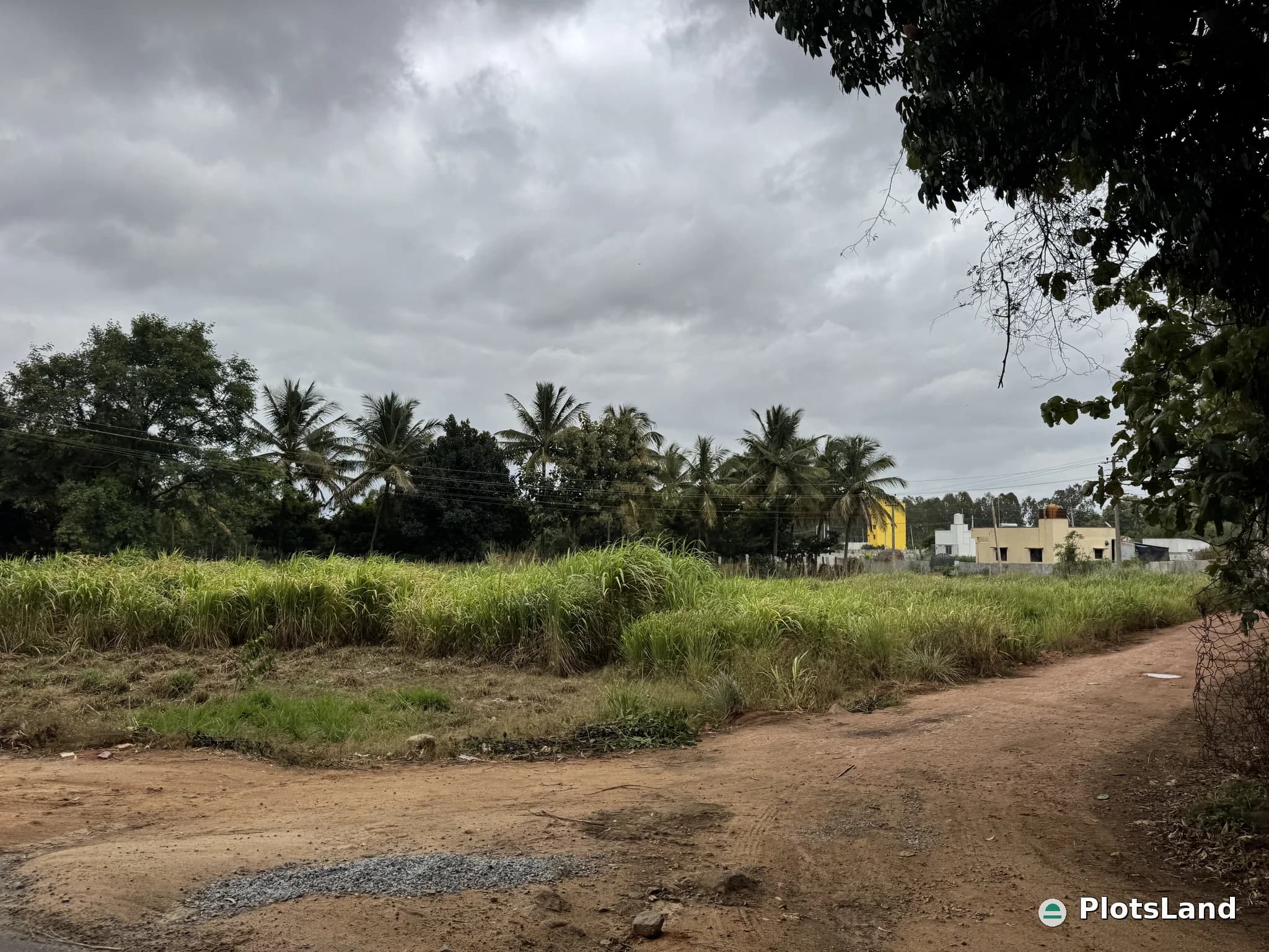     “Prime 5-Gunta Property with 30-Foot Main Road Access – Built for Growth & Success.” — photo 5