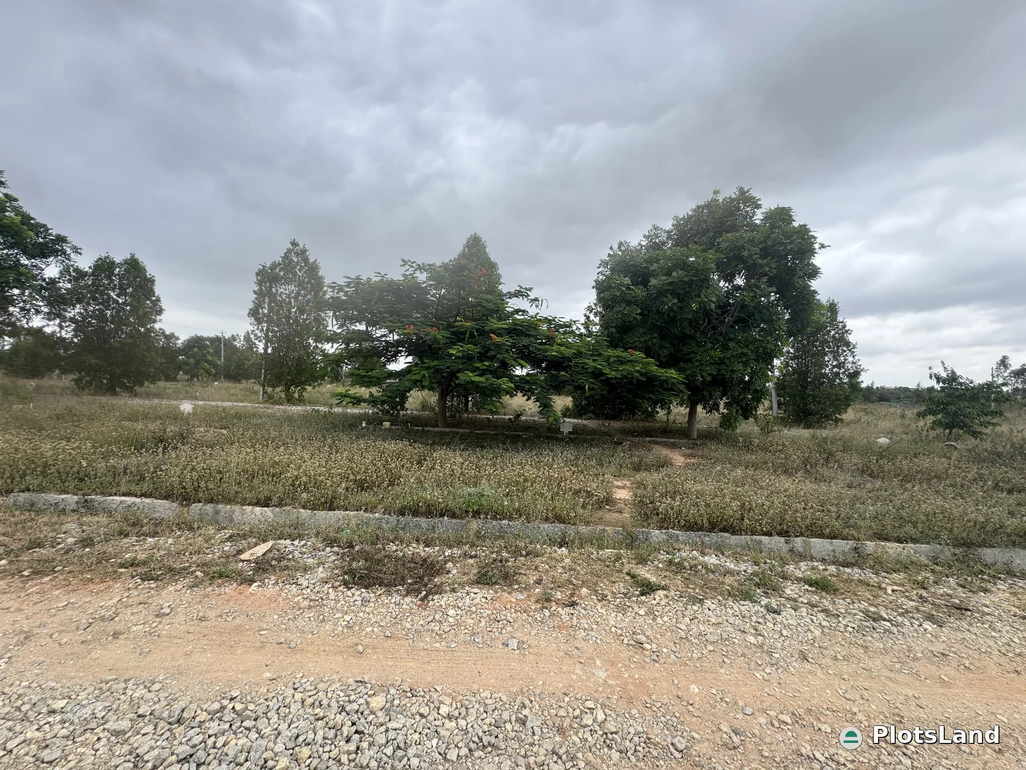     Airport-Side Land. Future-Ready Returns. — photo 5