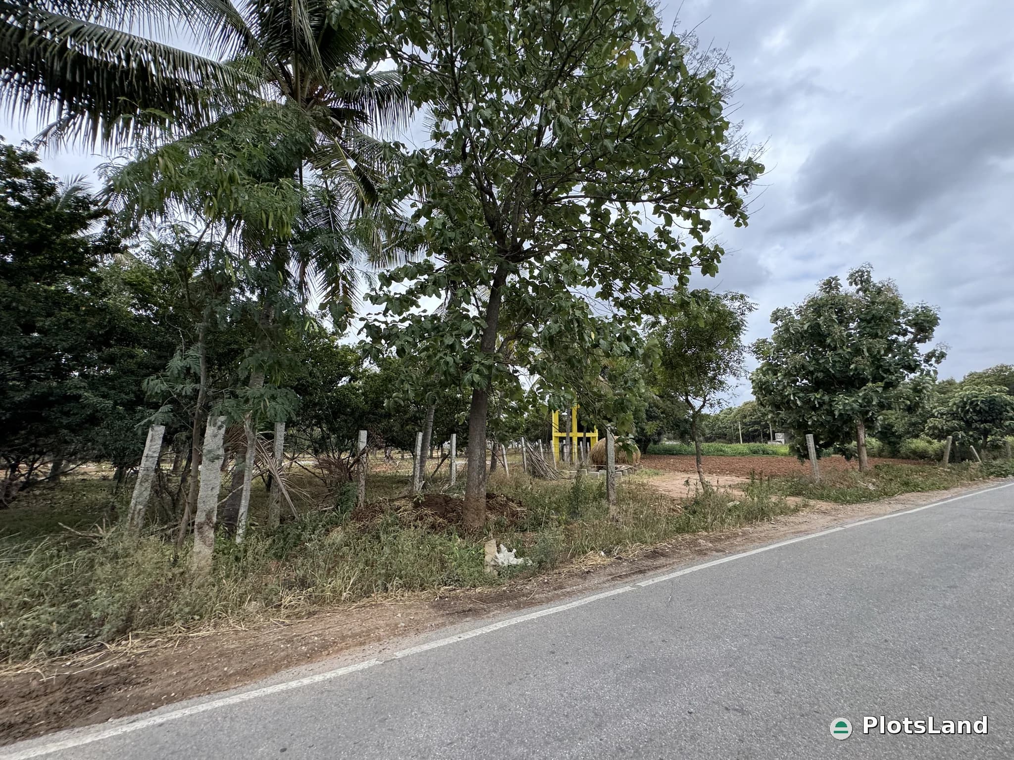     Buy a CoCo Farm Plot – Grow Wealth Naturally. — photo 4