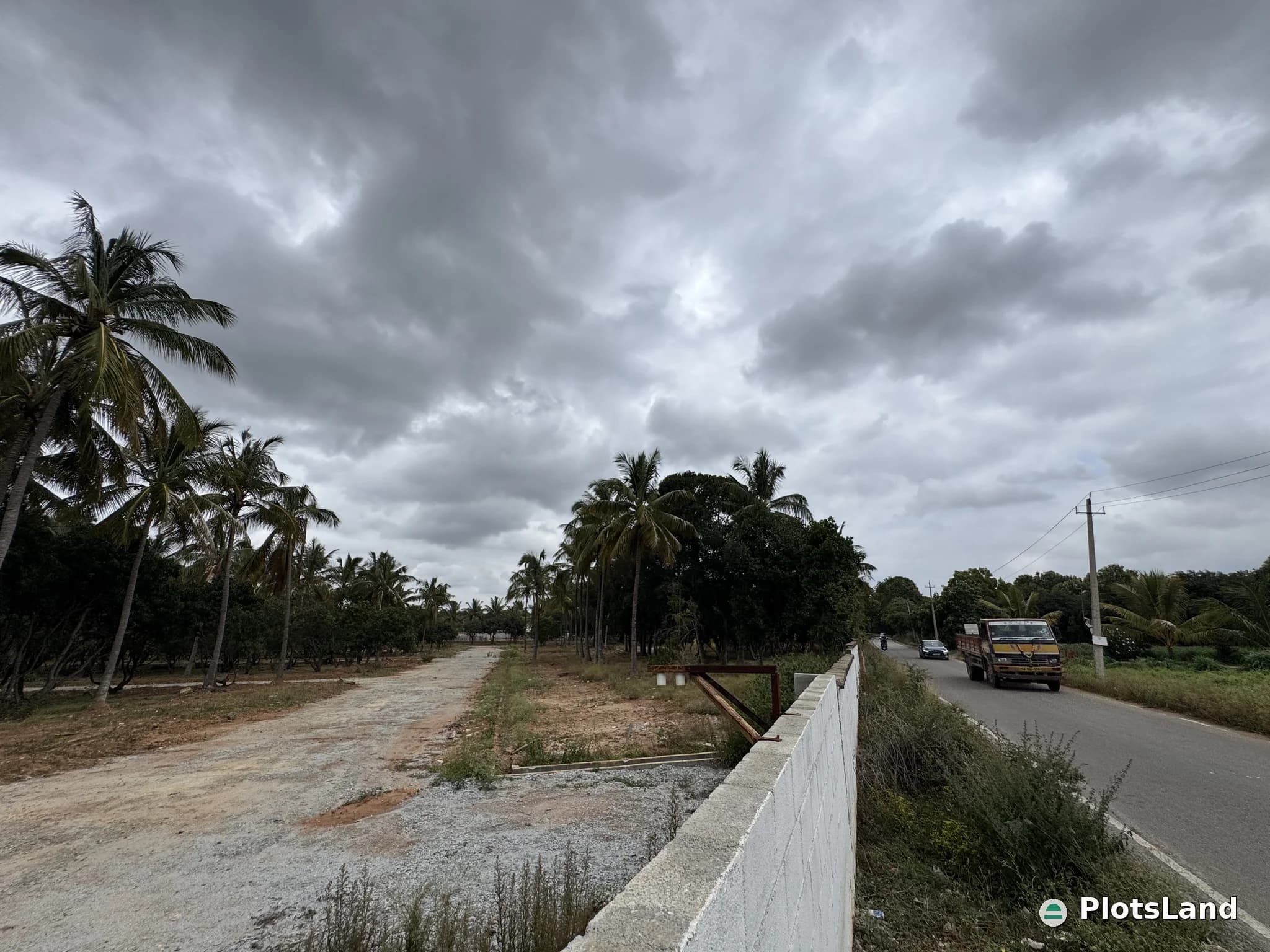     Buy a CoCo Farm Plot – Grow Wealth Naturally. — photo 2