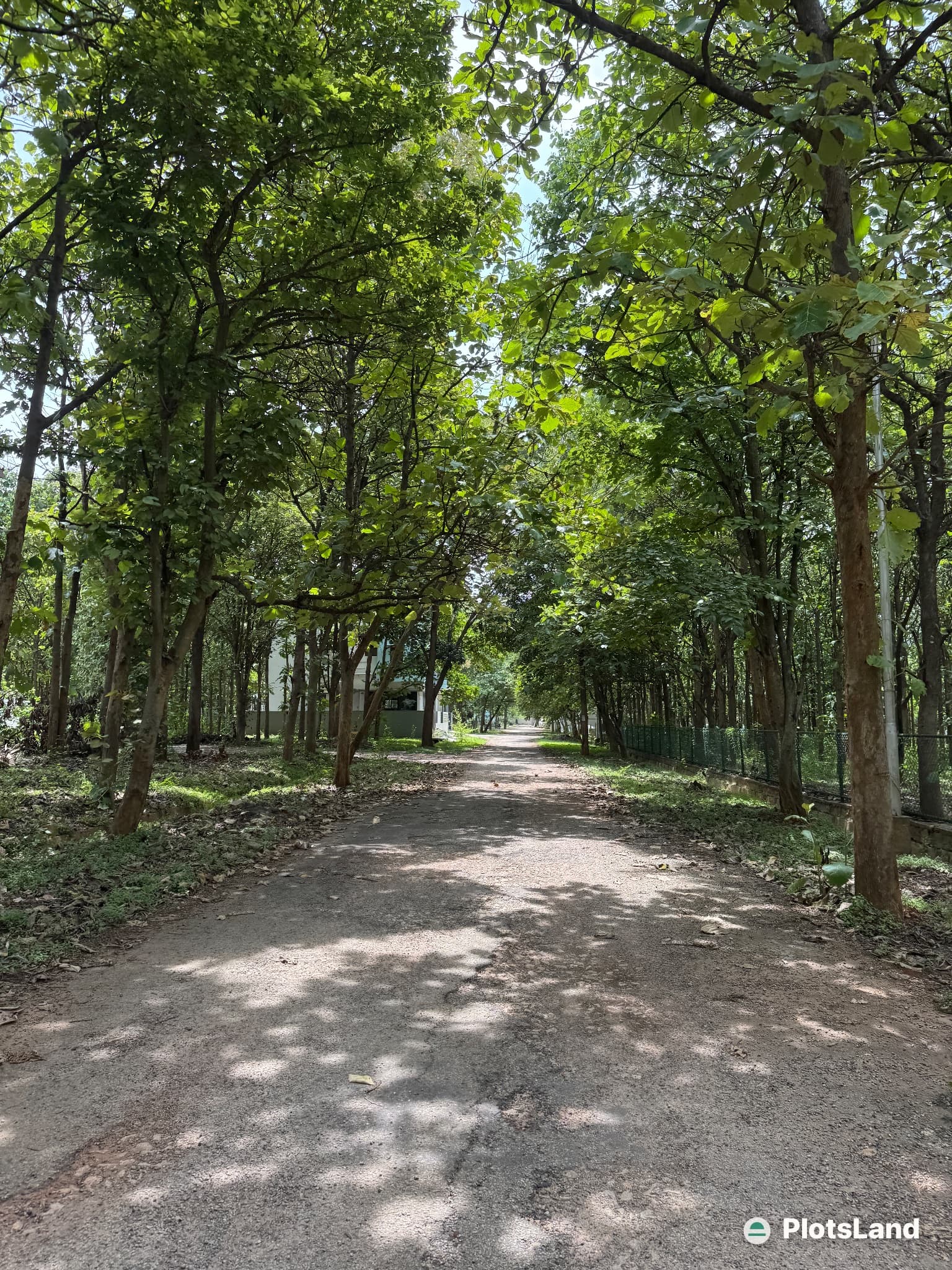 🌿 Where Nature Meets Your Dream Address! On Airport Rd — photo 4