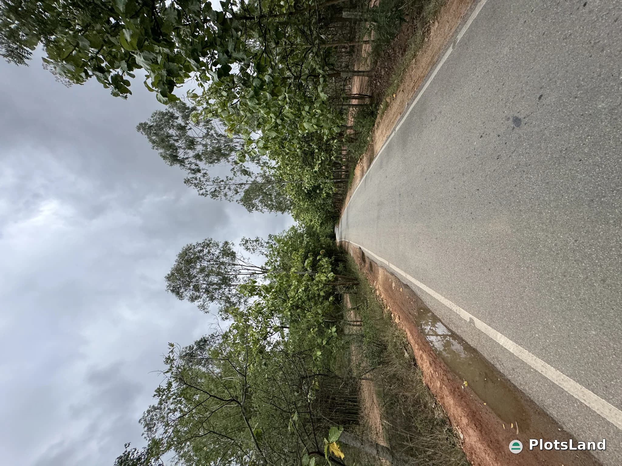     “Prime 5-Gunta Property with 30-Foot Main Road Access – Built for Growth & Success.” — photo 2