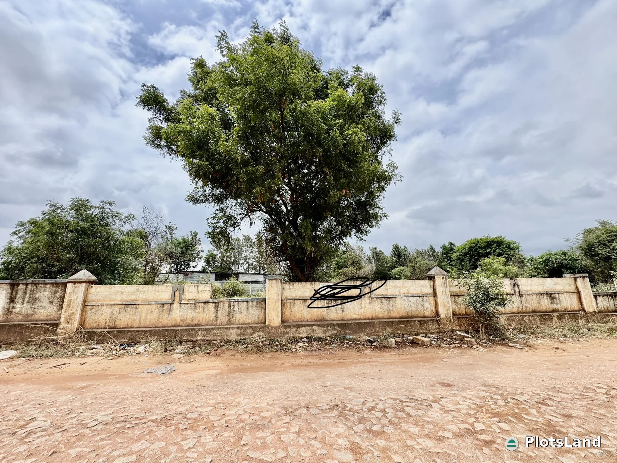 The Right Investment Starts with the Right Commercial Plot.
