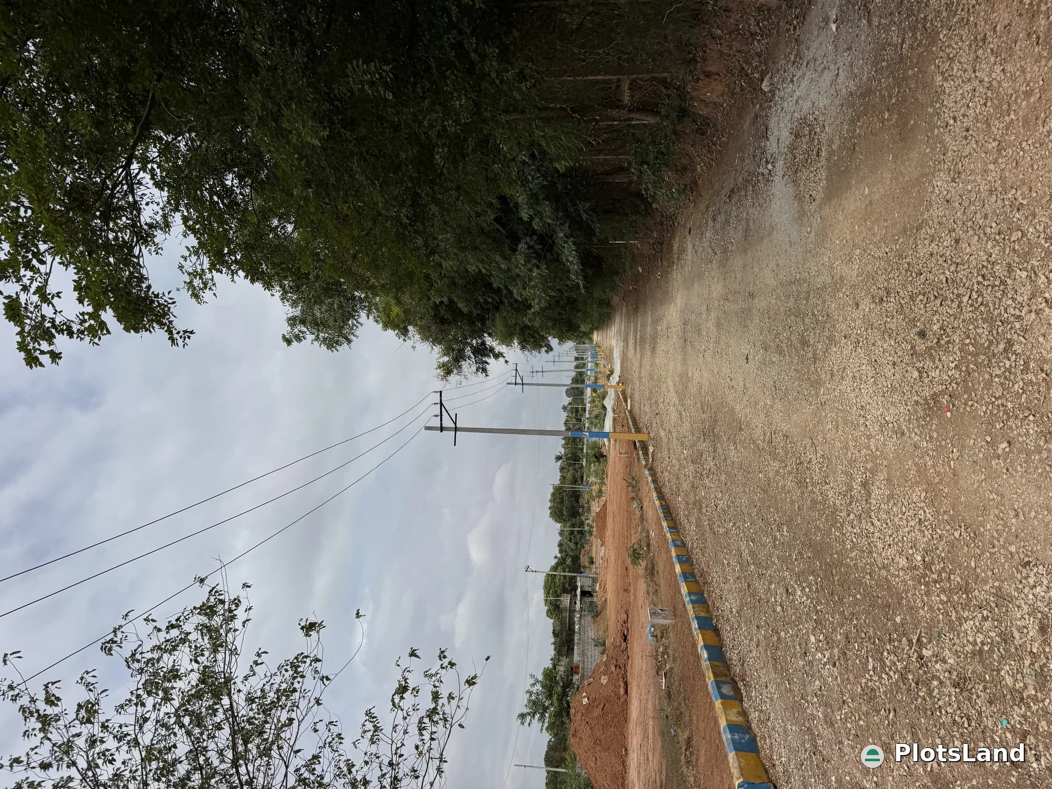     Where Luxury Meets Nature – Elite Living Beside a Government Forest. — photo 3