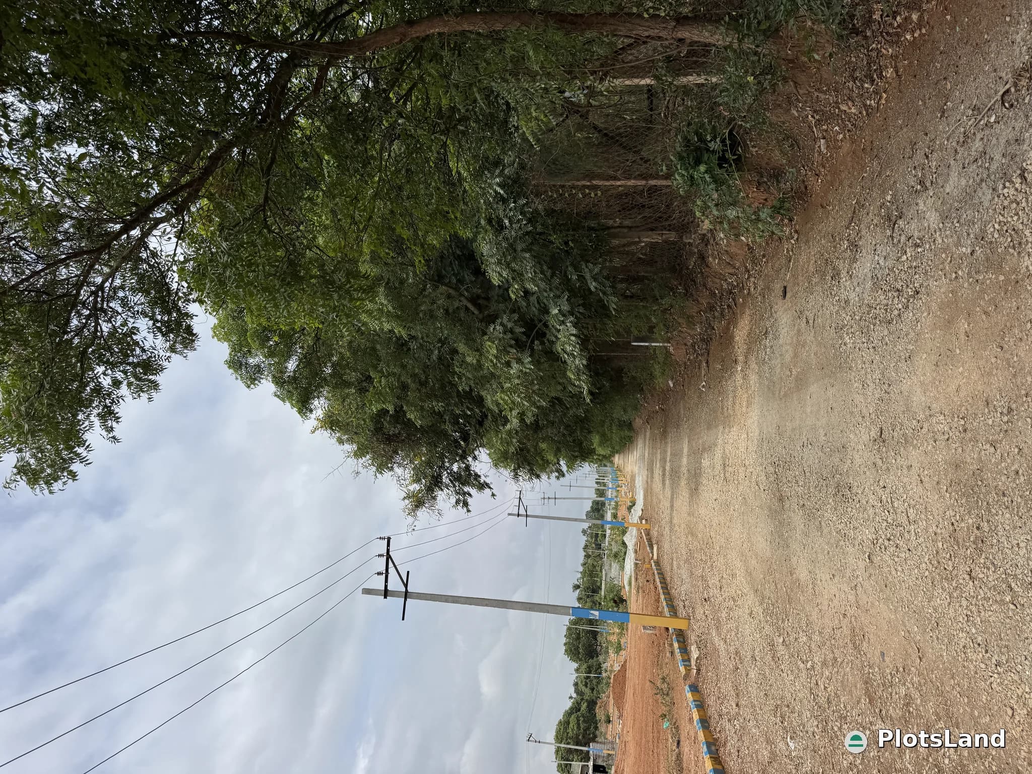     Where Luxury Meets Nature – Elite Living Beside a Government Forest. — photo 5