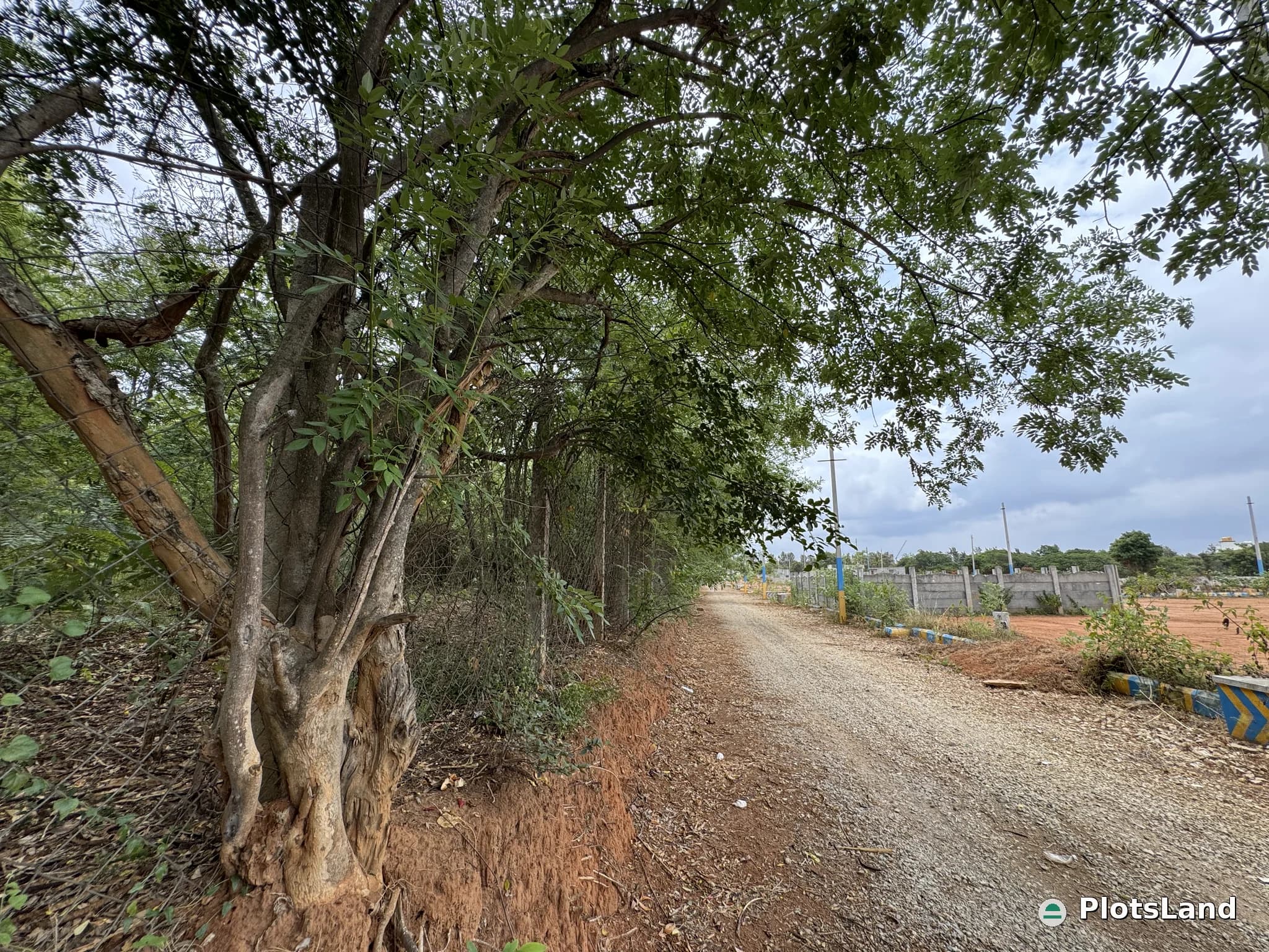     Where Luxury Meets Nature – Elite Living Beside a Government Forest. — photo 2