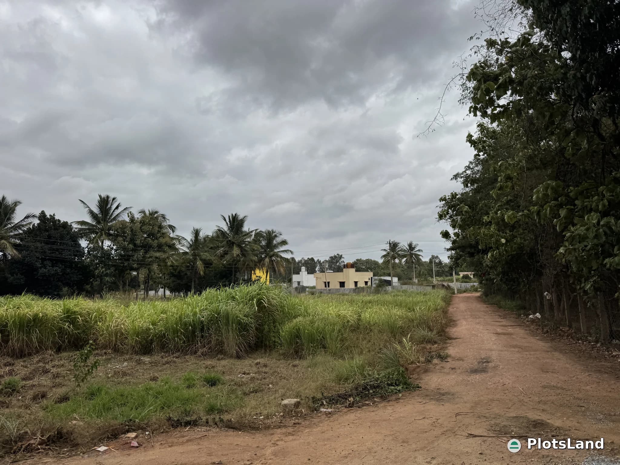     “Prime 5-Gunta Property with 30-Foot Main Road Access – Built for Growth & Success.”