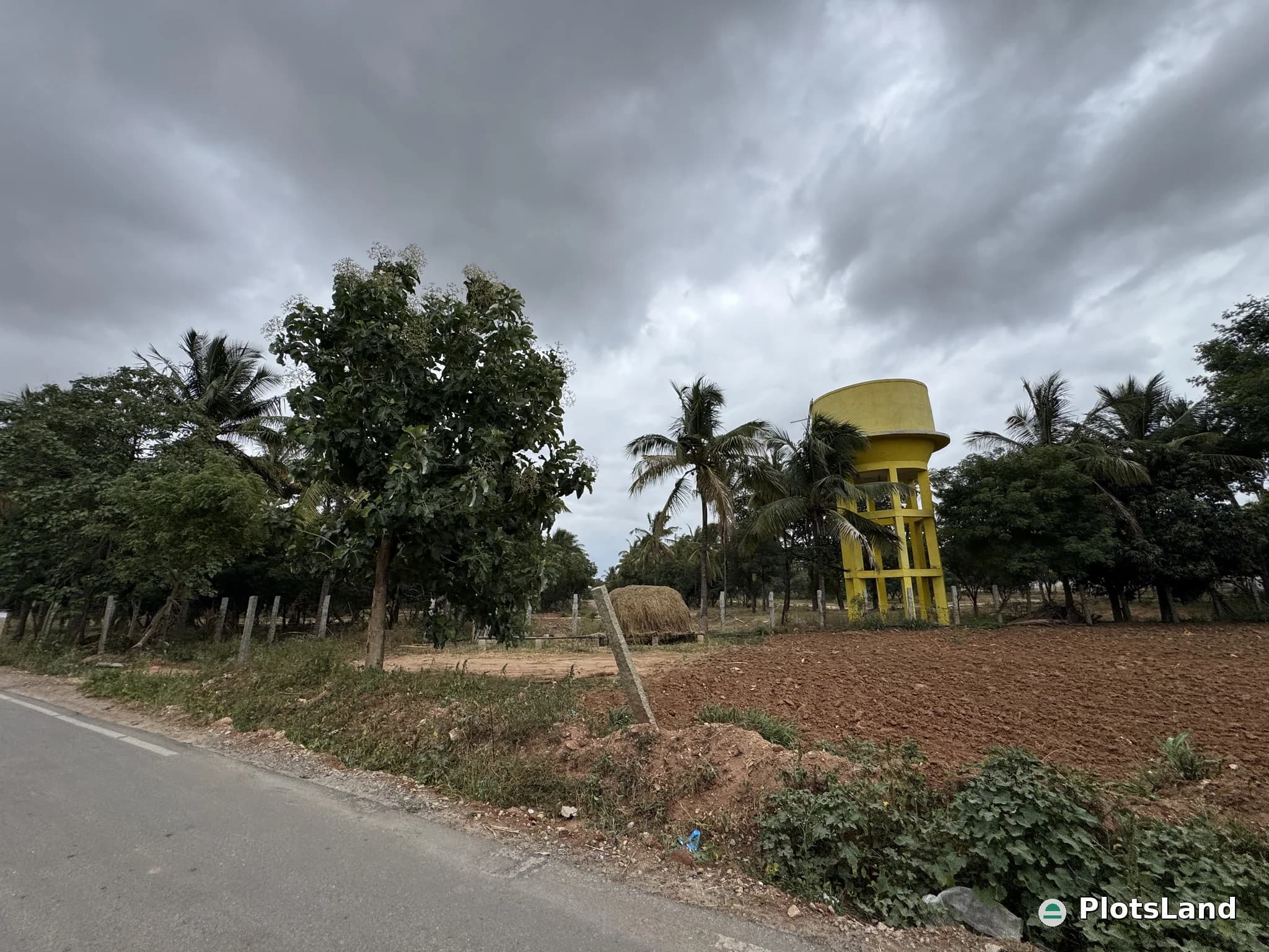    Buy a CoCo Farm Plot – Grow Wealth Naturally. — photo 3