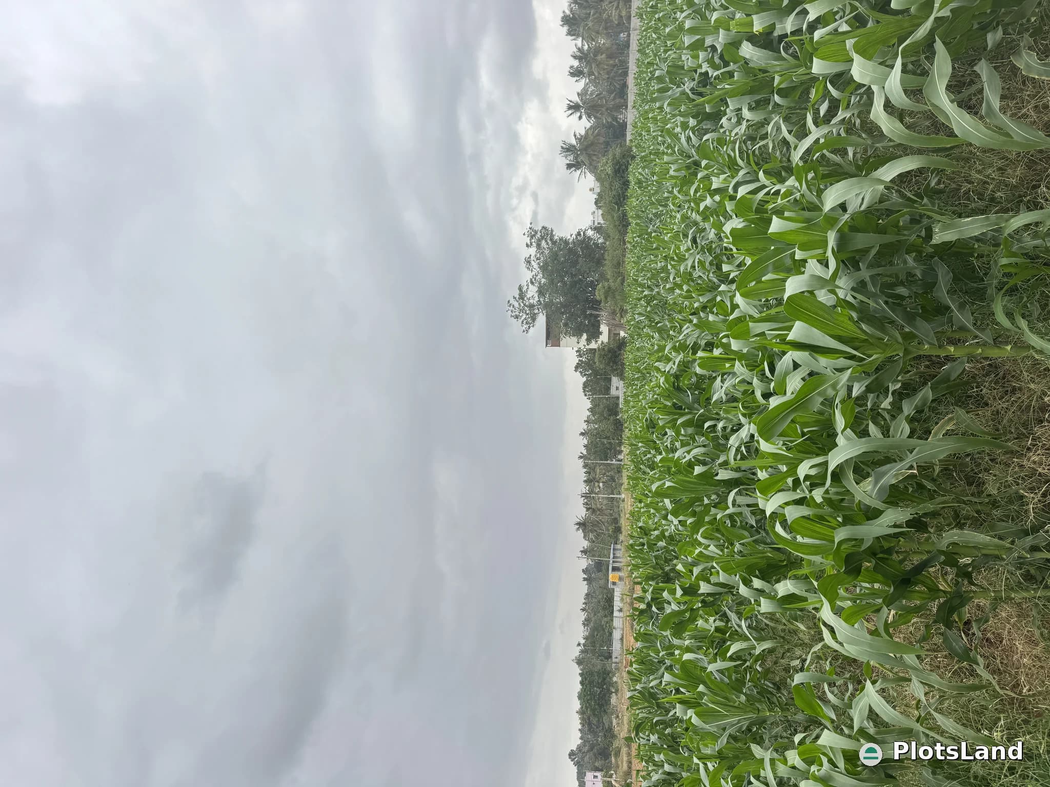     Get Your Farmland Registered in Guntas at the Best Price – Act Now!